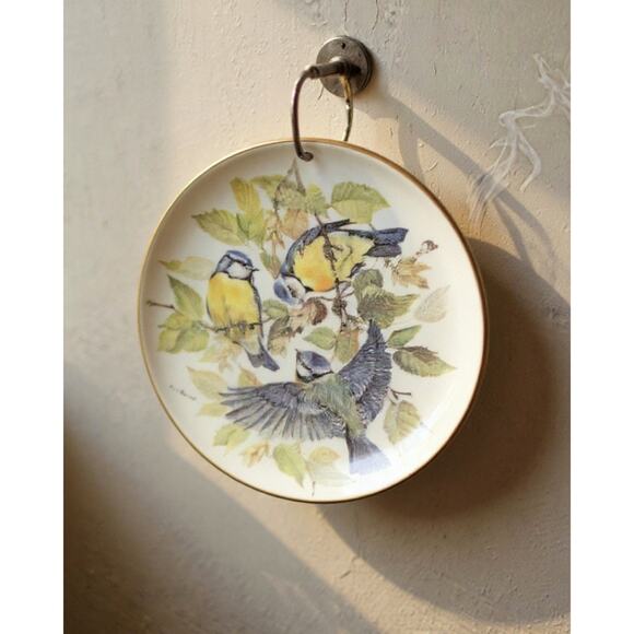 WWF Collector Plate Wall Decor "Songbirds of Europe" Ltd. Blaumeise 1985 Germany - Picture 1 of 6